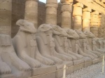 20 Julio - Karnak, Luxor, Valle de los reyes, Deir el bahari, Colosos Memmon
