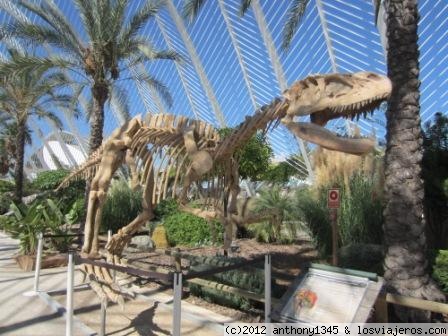 Esqueleto de dinosaurio en la Ciudad de las Artes y las Ciencias, Valencia  ✈️ Fotos de España ✈️ Los Viajeros
