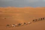 Paseo por el Desierto Marroquí en Video