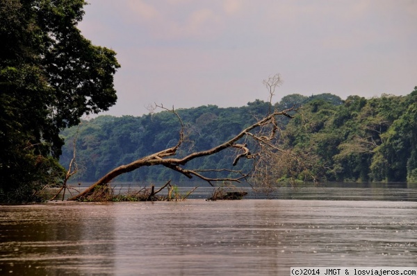 Rio Sangha
Subiendo por el rio Sangha en canoa, Rep.Centroafricana
