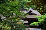 Koyasan
Koyasan japon templo