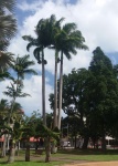 Place des Cocotiers, NOUMÉA, Nueva Caledonia