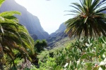 Preparativos e itinerario de nuestro cuarto viaje a Tenerife.