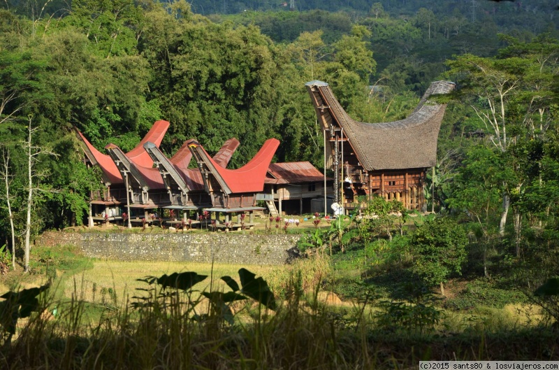 Foro de Sulawesi: Tongkonan en Tana Toraja