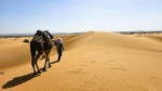 Si viajas al desierto, no todo es arena