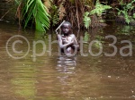 Pigmeo swimming  at the river in Dja Reserve