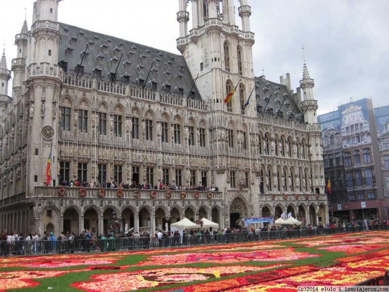 Bruselas: Flowertime 2023 - Bruselas: Consejos visitas itinerarios opiniones -Bélgica - Foro Holanda, Bélgica y Luxemburgo