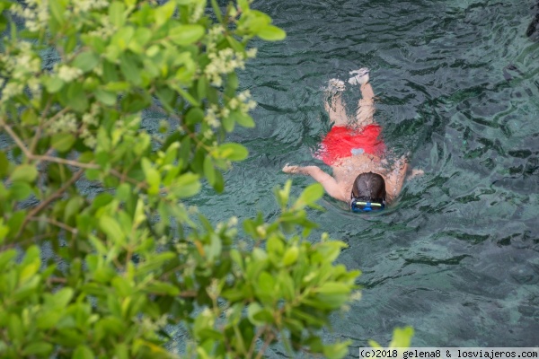 Cenotes con niños en Riviera Maya - excursiones - Foro Riviera Maya y Caribe Mexicano