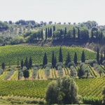 Valle De Chianti, un domingo entre viñedos