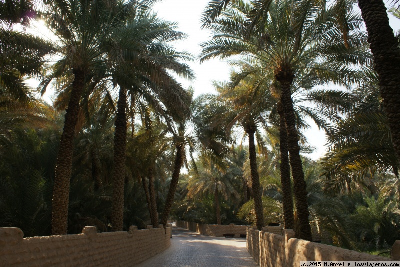 Foro de Emirates: Oasis de Al Ain (Emiratos Arabes Unidos)
