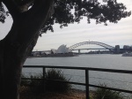 Opera House from Mrs Macquarie 's Chair
