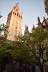 Domingo 29 diciembre. Visita Real Alcázar. Catedral. Paseo por Sevilla.