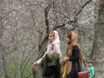 Dos semanas en Irán