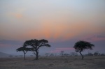 Atardecer en el Serengeti