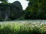 06-08-2023. Visita de Paradise Cave, Jardín Botánico y tren nocturno hasta Ninh