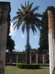 Un Jardin de Pompeya
Pompeya Italia Jardin Palmera
