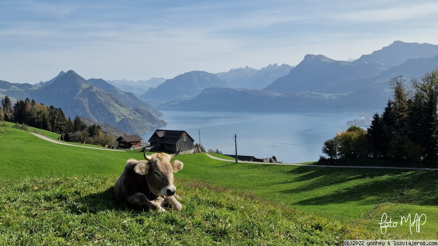 Viaje a Suiza en primavera: Consejos, dudas, información - Foro Alemania, Austria, Suiza