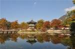 Blueline park y crónica de un día fallido en Busan