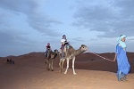 Día 6 4x4 al desierto y paseo en camello
