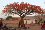 Senegal en fotos