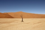 30 de julio. Desierto del Namib
