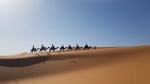 Excursión al desierto. Gargantas del Todra,  desierto Erg Chebbi y vuelta.