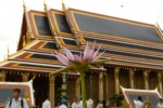 Sukhothai y Lampang