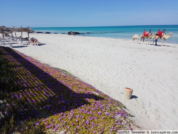 Túnez y sus destinos de Playa ✈️ Noticias de Tunez ✈️ Los Viajeros