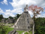 Entradas a Tikal: Cambio de Normativa