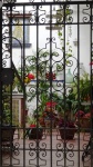 Típico patio andaluz con flores en Jerez de la Frontera