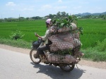 Viaje por el centro-norte de Vietnam