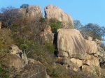Cruce de Zimbabwe a Botswana. Nata, santuario de aves