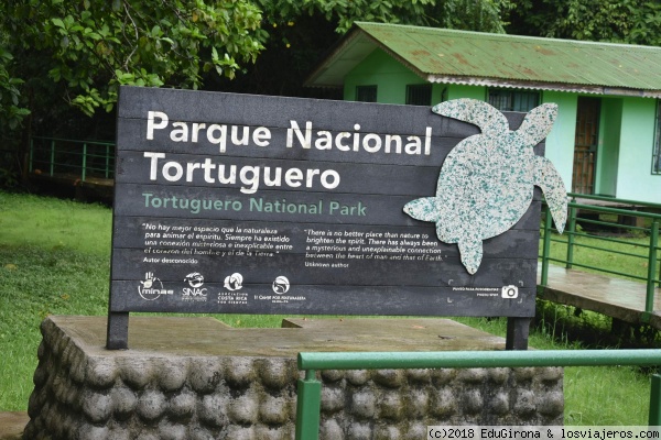 Tortugas en Costa Rica: Avistamiento y Desove - Foro Centroamérica y México