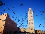 Visita al Jardín Majorelle y callejeamos por el centro de Marrakech