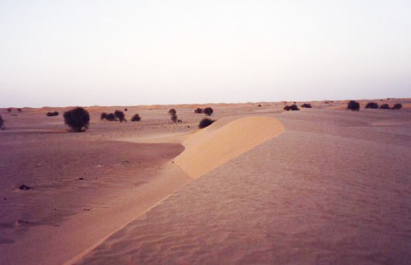 Dunes after sunset in Benichab. - Mauritania
Desierto del Sahara en Benichab - Mauritania