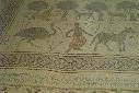 Mosaics -Mount Nebo - Jordan